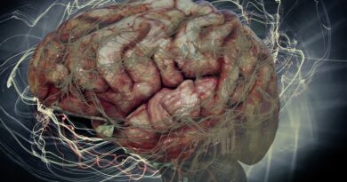 Livsmedel som snabbt kan lindra hjärndimma
