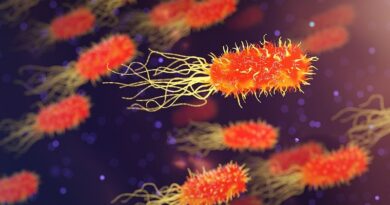 注意すべき腸チフスの徴候と症状