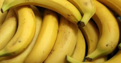 Yllättäviä terveyshyötyjä banaanit