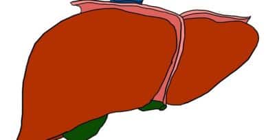 Semua yang Perlu Anda Ketahui Tentang NAFLD