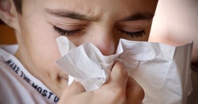 Stress de gripe: Aqui está tudo o que precisa de saber sobre a gripe