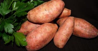 Okok, hogy az édesburgonya az Ön étrendjében szerepeljen