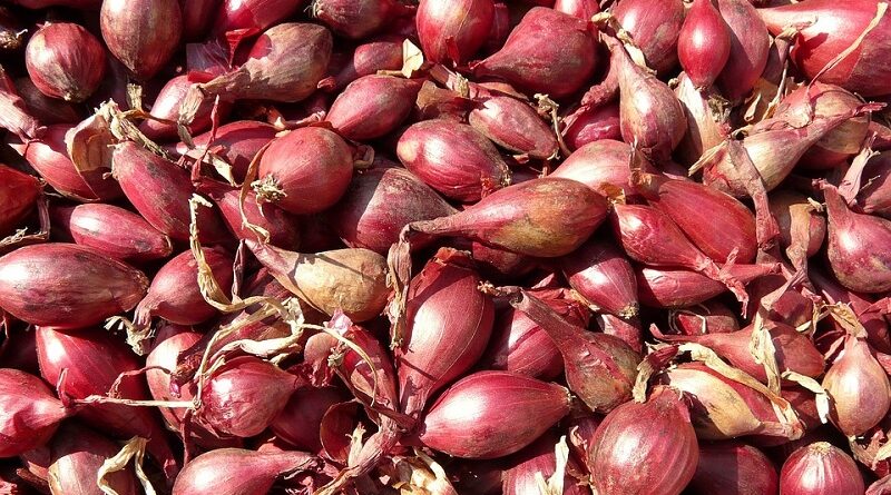 Formas de como comer chalotas pode melhorar a sua saúde