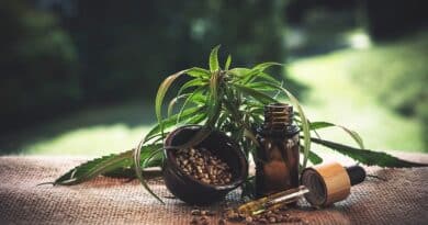 大麻油较少为人所知的健康益处