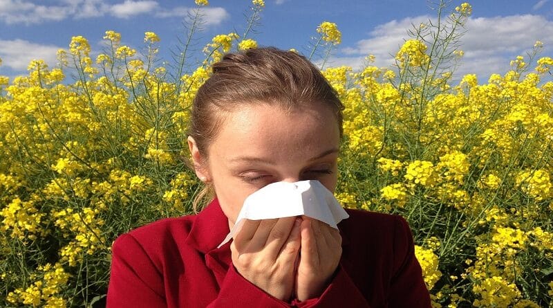 Remèdes naturels à domicile pour stopper les allergies