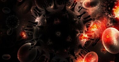 HIVとAIDSを予防するために免疫システムを最適化する