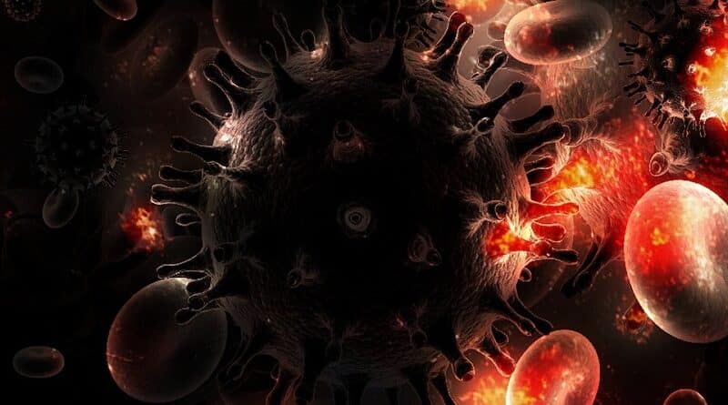 HIVとAIDSを予防するために免疫システムを最適化する