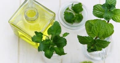 Usos del aceite de menta que probablemente no conocías