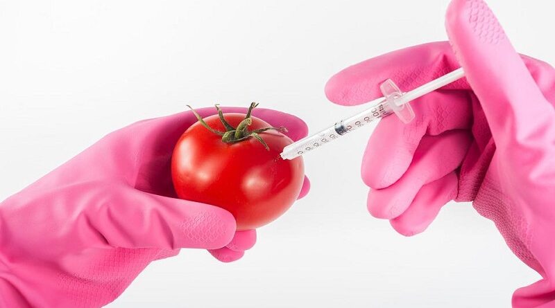 必须了解的转基因食品的利与弊