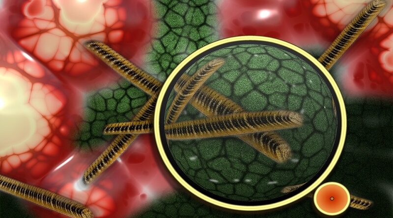 気をつけたいトキシックショック症候群の症状