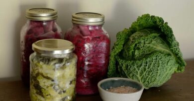 Cómo benefician los alimentos fermentados a su sistema digestivo