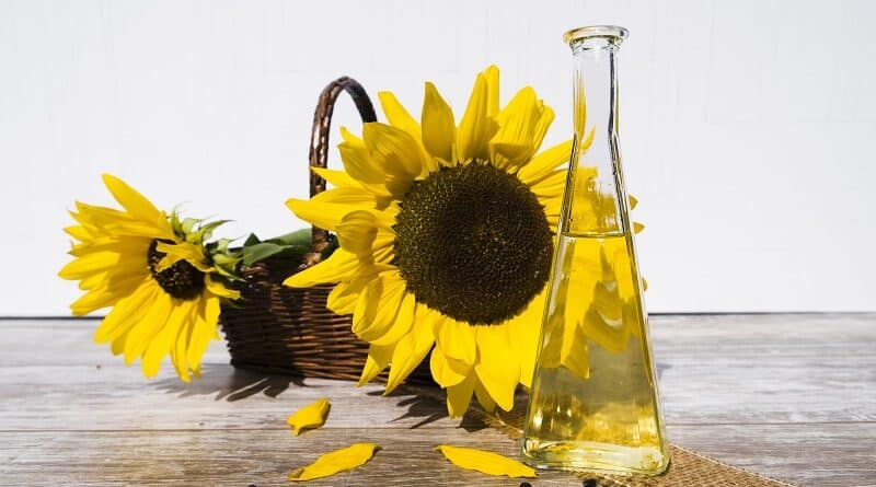 Por qué el aceite de girasol es estupendo para la piel y sus beneficios