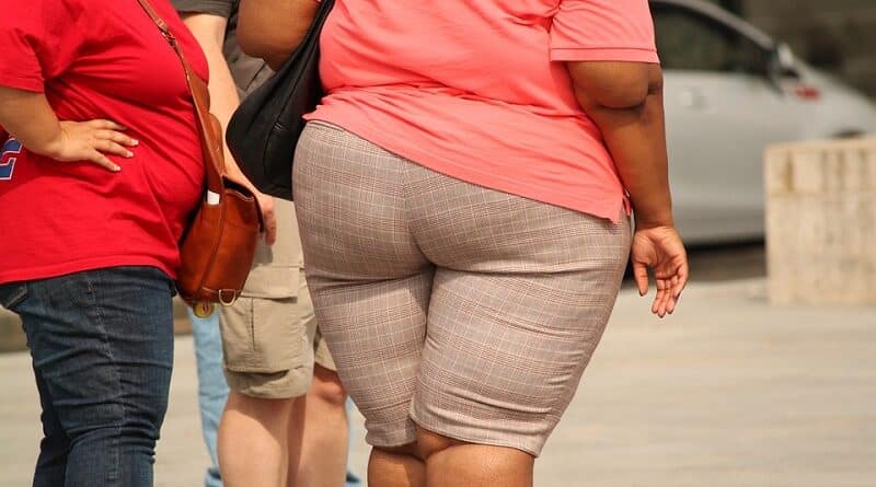 Reglas a tener en cuenta en la lucha contra la obesidad