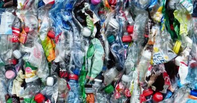プラスチックの危険性と、より健康的な代替品