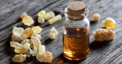 Gli incredibili benefici dell'antico olio di incenso