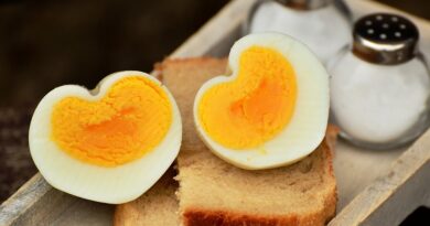 子どもが1日1個は卵を食べるべき理由
