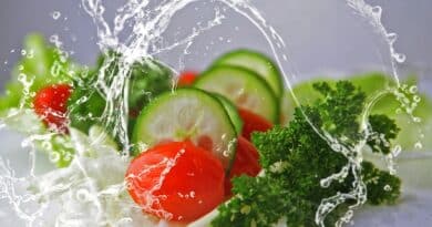 野菜と果物を毎日食べる理由
