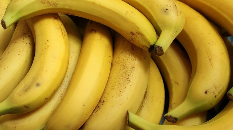 Raisons pour lesquelles vous devriez ajouter des bananes à vos flocons d’avoine