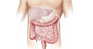 Saúde intestinal: O que a afecta e como melhorá-la