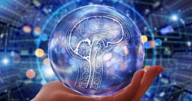 グーグルが活用する人工知能の種類