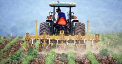 Майбутнє інновацій та трансформацій у сільському господарстві