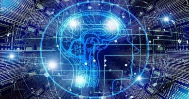 Quels sont les stades de développement et les types d'intelligence artificielle