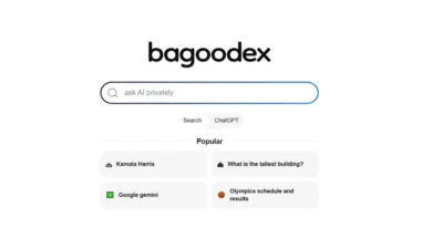 Bagoodex: Gelişmiş arama motoru ve sohbet platformu